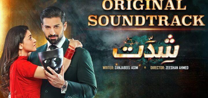 Shiddat OST Lyrics