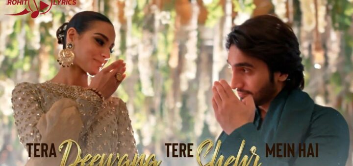 Tera Deewana Tere Sheher Mein Hai Lyrics